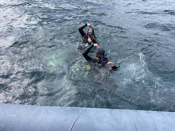 /blogs/news/become-a-buoyancy-master-level-up-your-diving-with-the-padi-peak-performance-buoyancy-course