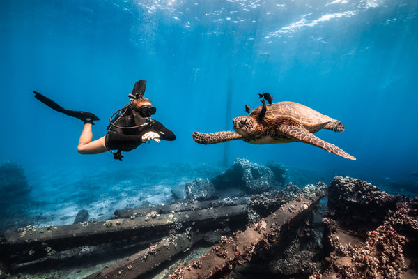 /blogs/news/why-choose-frog-dive-for-scuba-diving-in-sydney