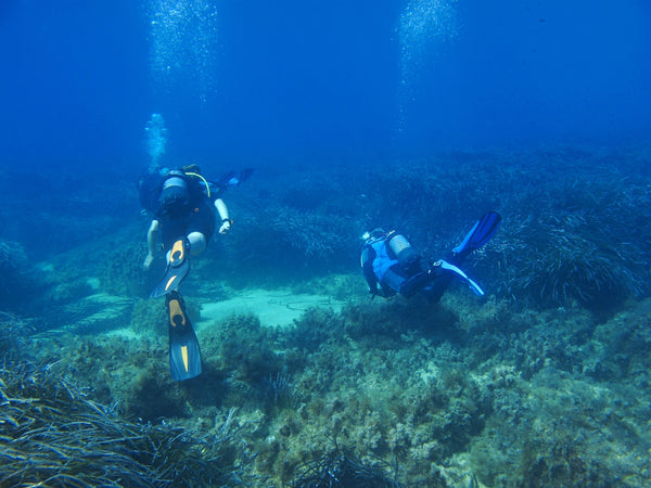 /blogs/news/how-advanced-padi-certification-opens-up-new-diving-adventures