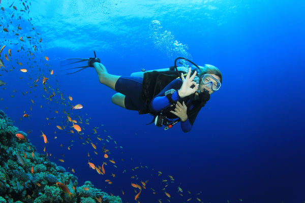 /blogs/news/top-5-scuba-experiences-for-adventure-seekers-in-sydney