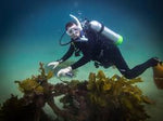Ocean Discover Scuba Diving Experience