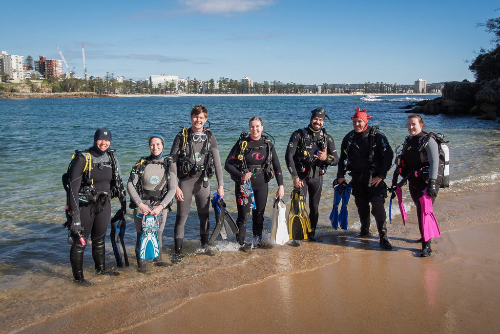 How Sydney’s Spring Conditions Shape the Best Local Diving