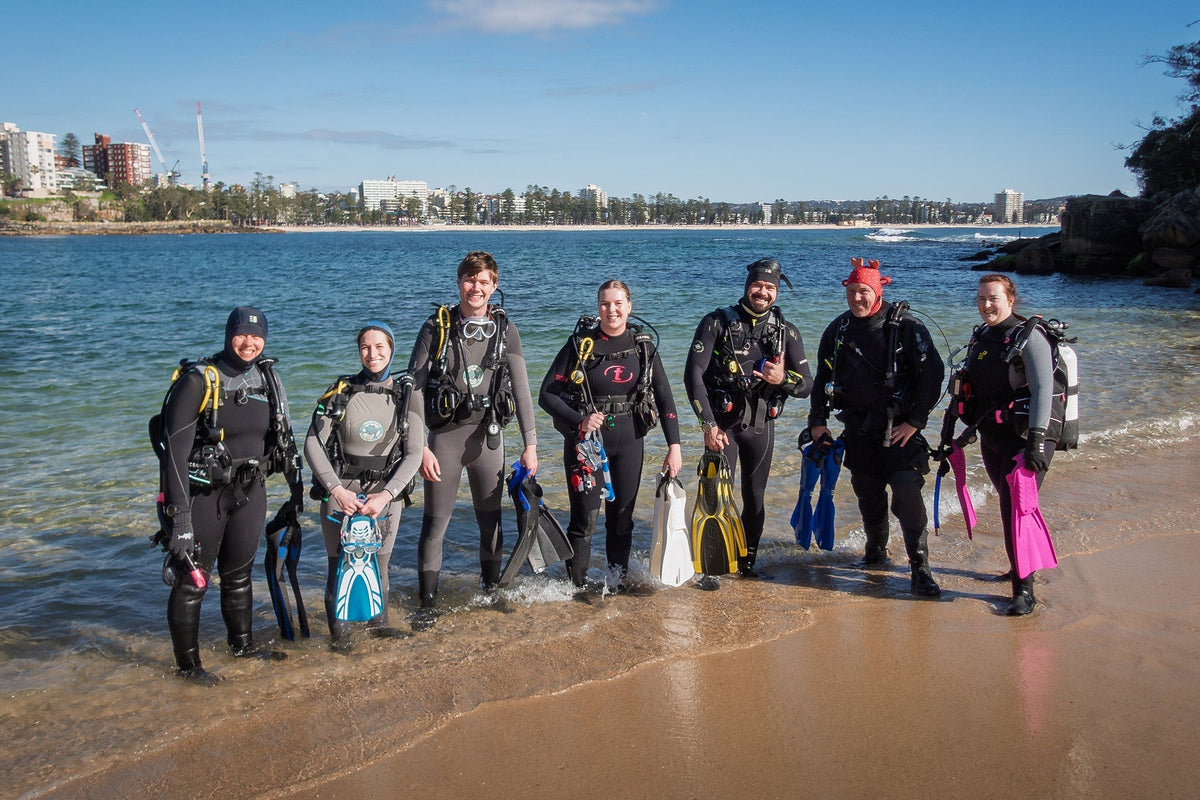 How Sydney’s Spring Conditions Shape the Best Local Diving – Frog Dive