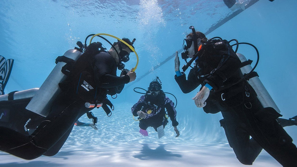 Sydney Divers Are Buying Their Own Gear Earlier. Here’s What’s Driving the Shift