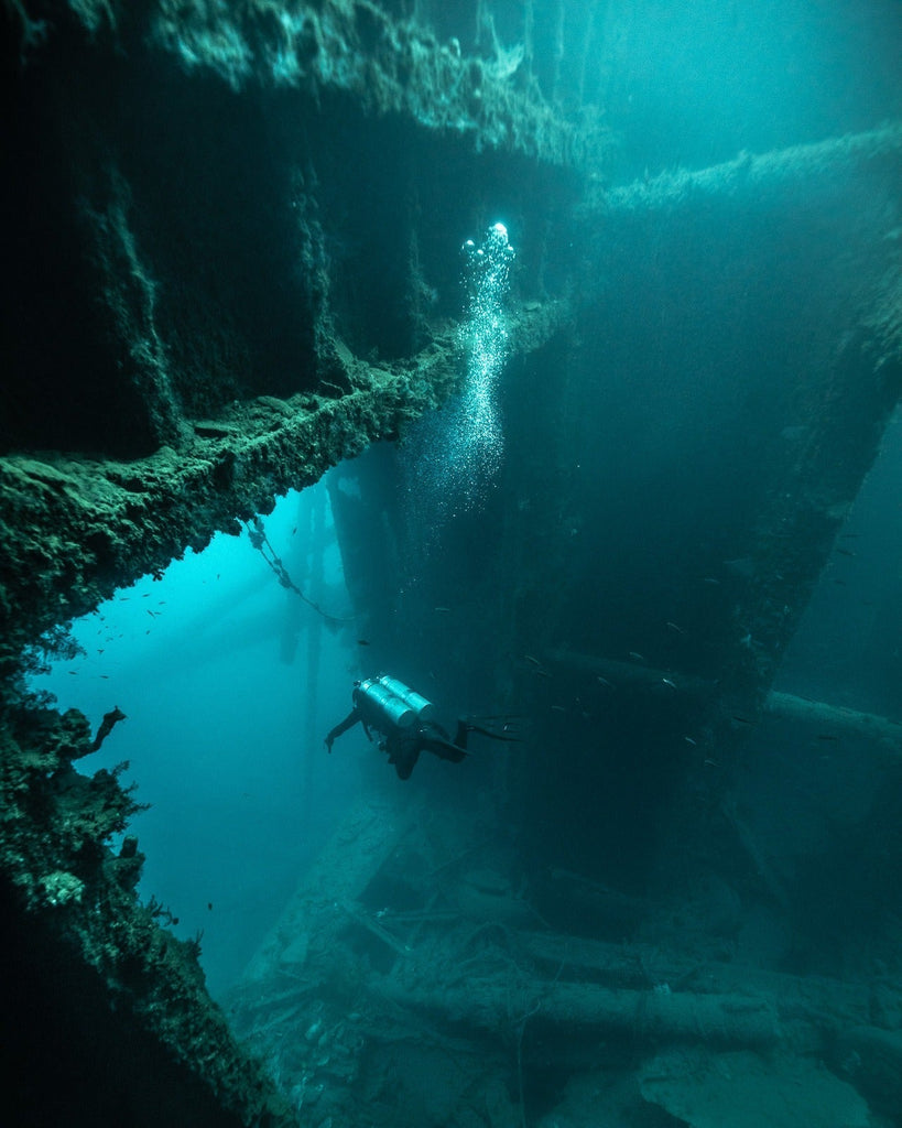 Why Sydney creates a very specific type of diver