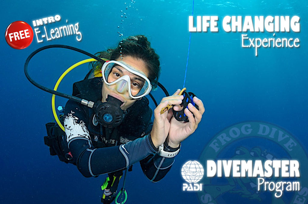LEARN MORE about the DIVEMASTER PROGRAM with a FREE PADI E-LEARNING!