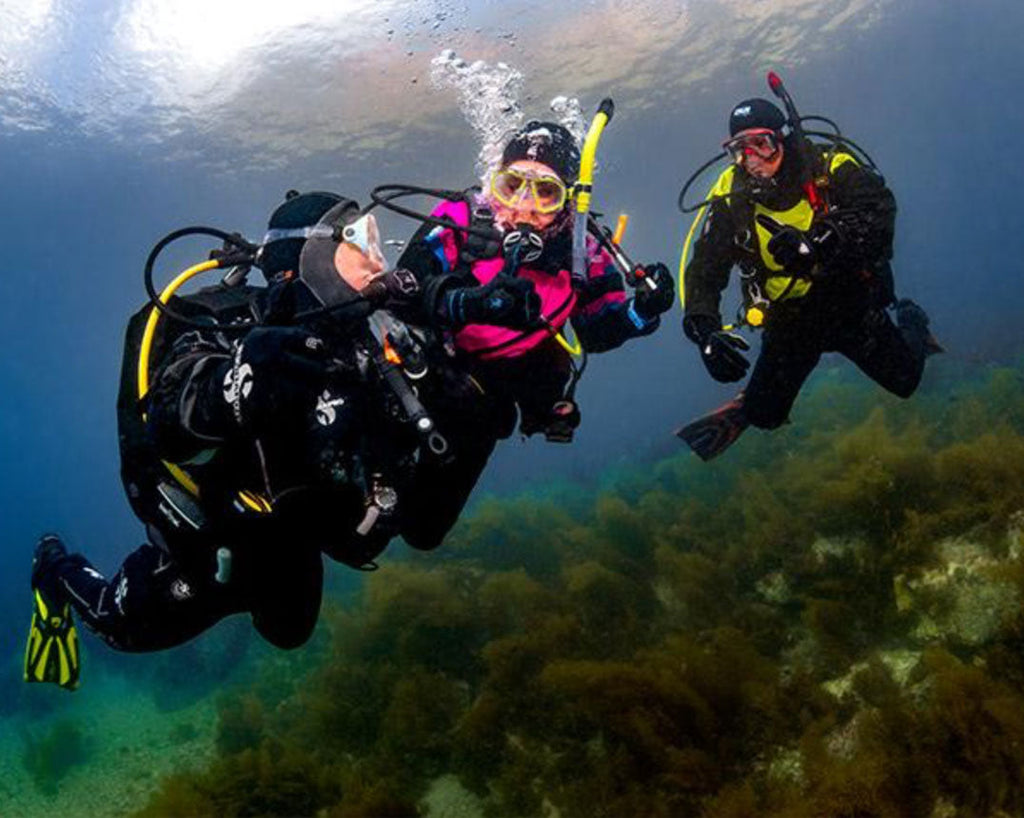 Drysuits vs Wetsuits: Which is Right for Diving in NSW Waters?