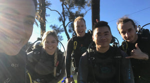 Frog Dive Divers