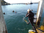 PADI Open Water Diver - Learn How to Dive: Private Premium - Frog Dive
