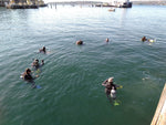 PADI Open Water Diver - Learn How to Dive: Saturday Start