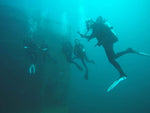 PADI Premium Advanced Open Water Diver - Frog Dive