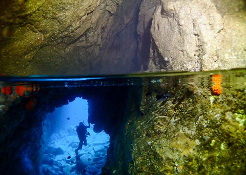 South West Rocks Frog Dive