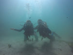 Private Guided Shore Dive