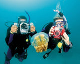 PADI Underwater Digital Photography Course