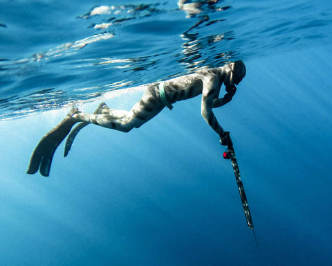 Spearfishing Course