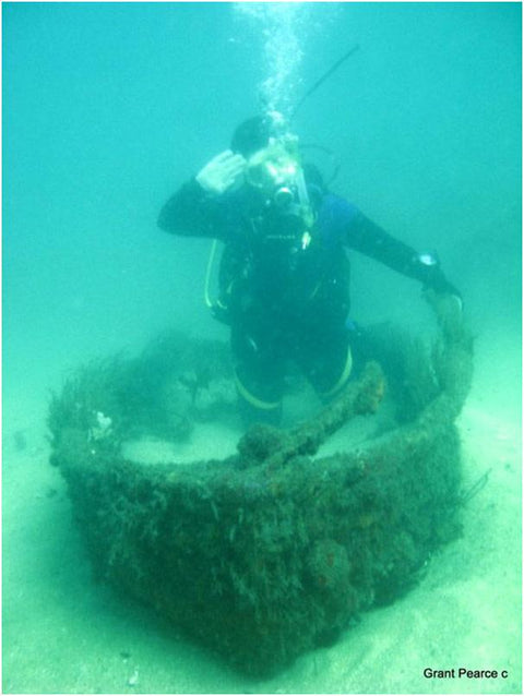Manly Dive site #test - Frog Dive