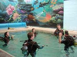 PADI Open Water Diver - Learn How to Dive: Sunday Start - Frog Dive