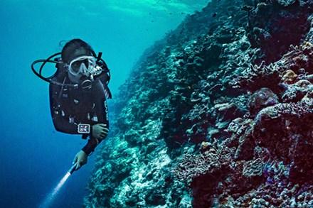 Suunto core diving top